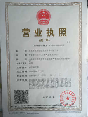 山東斯塔斯企業管理咨詢 專業賦能，引領企業發展新篇章